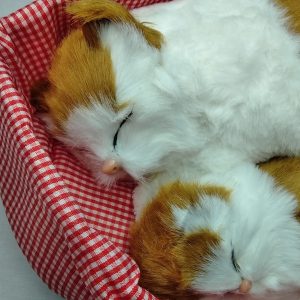 عروسک گربه خوابیده و بچه دکوری